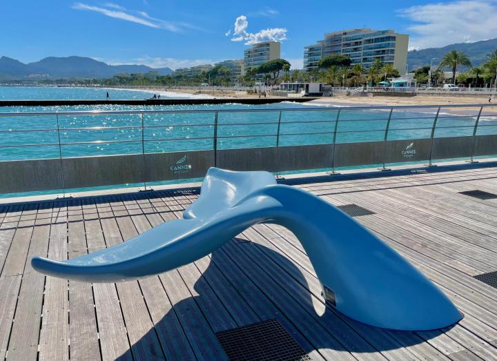 BANCS BALAENA, Provence-Alpes-Côte d'Azur